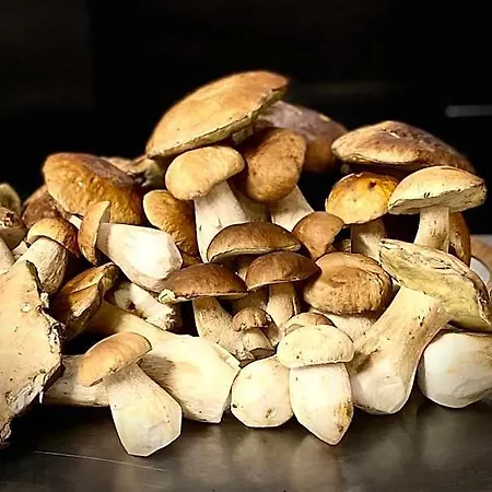 Jaizkibel